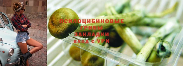 mdpv Алексин