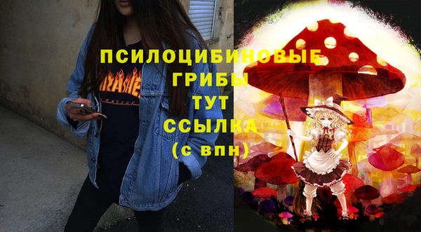 mdpv Алексин