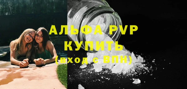 прущие грибы Сатка