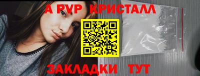 spice Гатчина