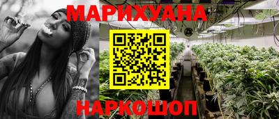 spice Гатчина