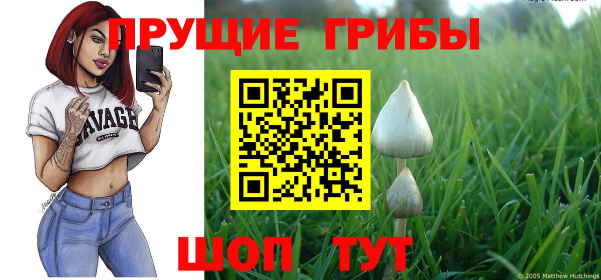Псилоцибиновые грибы Cubensis  Псилоцибиновые грибы мицелий  Вход с VPN  Лысьва 