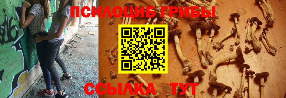 Галлюциногенные грибы мухоморы Лысьва